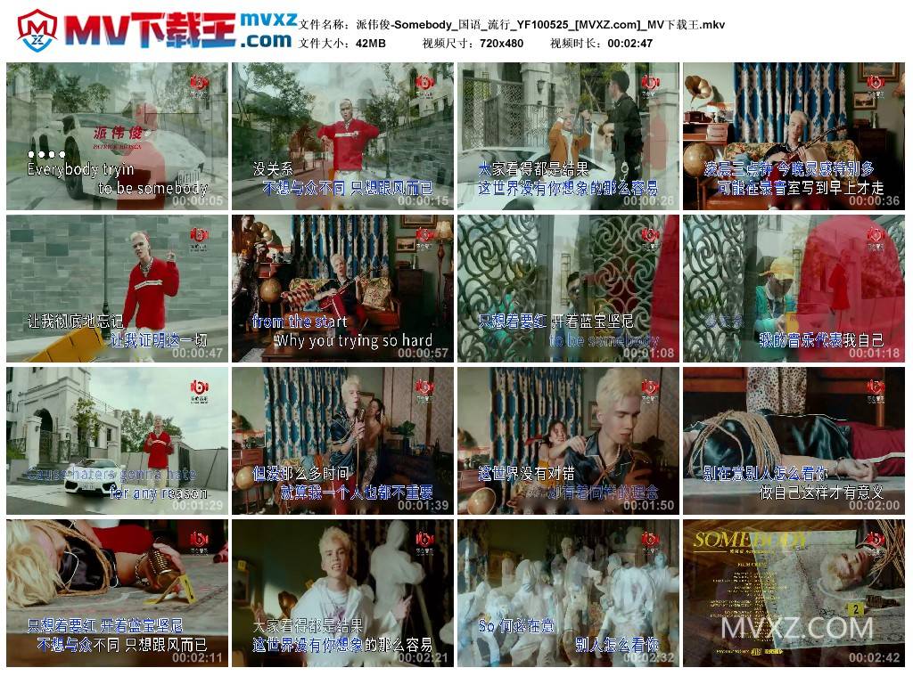 派伟俊-Somebody_国语_流行_YF100525